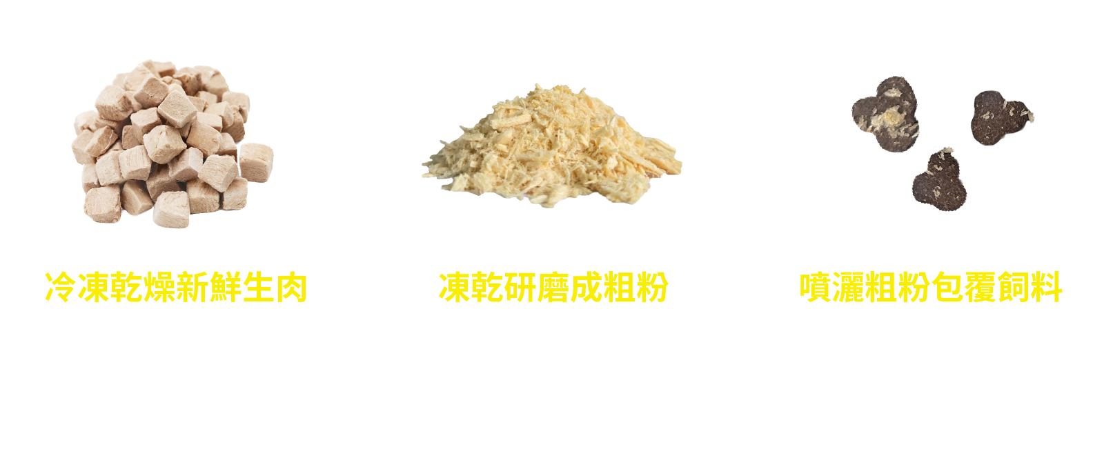 凍乾製程